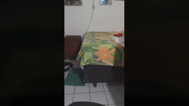 vipssapeu  25-05-2022